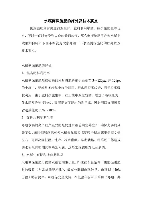 水稻侧深施肥的好处及技术要点.doc