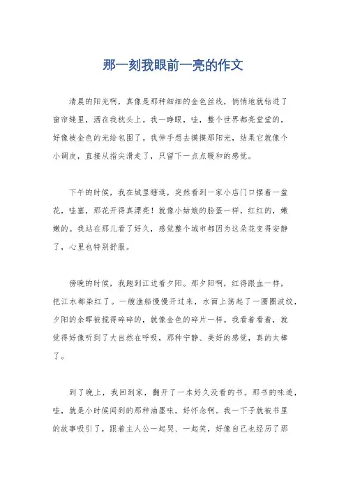 那一刻我眼前一亮的作文