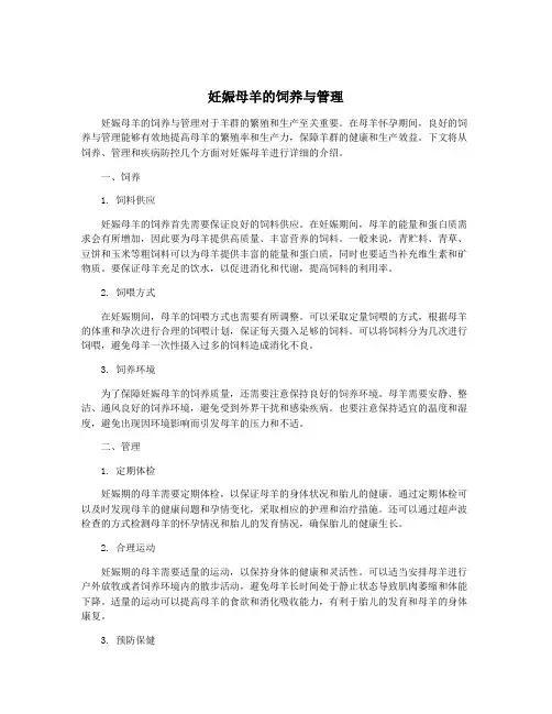 妊娠母羊的饲养与管理
