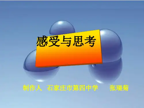 感受与思考ppt[优秀课件资料]