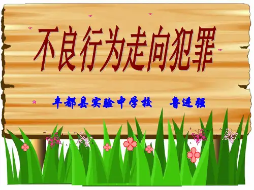 中学生法制教育课课件《不良行为走向犯罪》