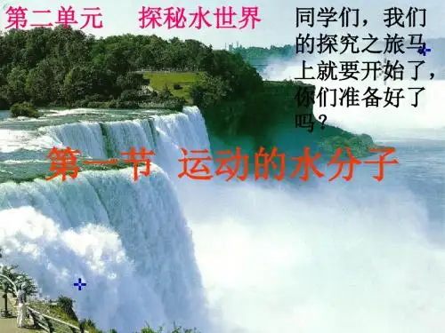 2.1运动的水分子