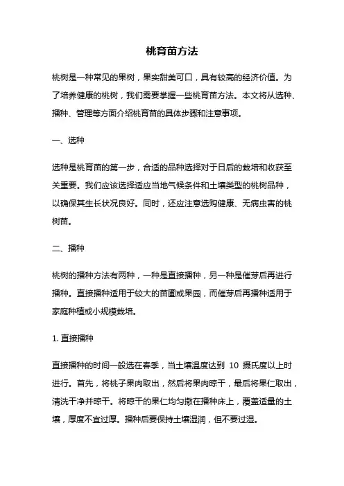 桃育苗方法