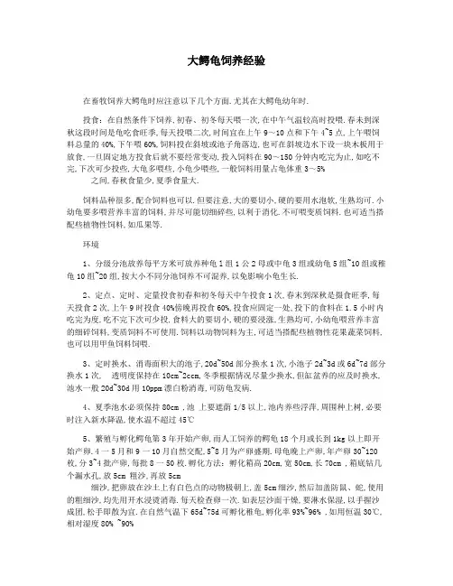 大鳄龟饲养经验