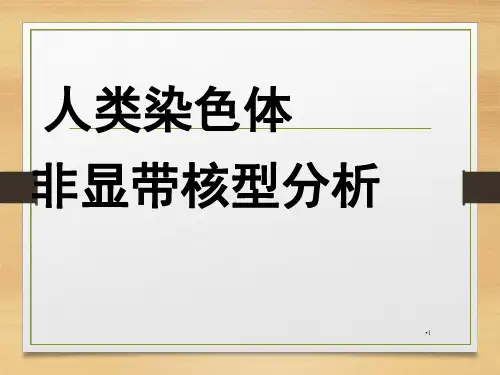 人类染色体非显带核型分析PPT课件