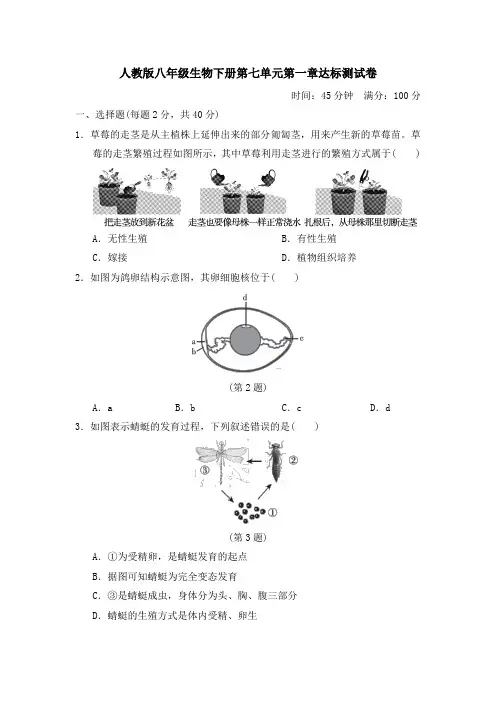 人教版八年级生物下册第七单元第一章达标测试卷附答案