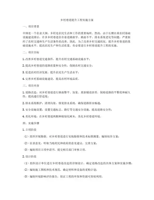 乡村巷道提升工程实施方案