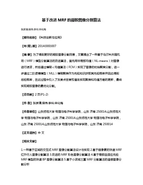 基于改进MRF的凝胶图像分割算法