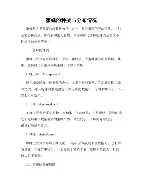 蜜蜂的种类与分布情况