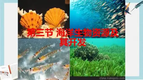 2019-2020年鲁教版高中地理选修二第二单元第3节《海洋生物资源及其开发》优质课件(共22张PPT)