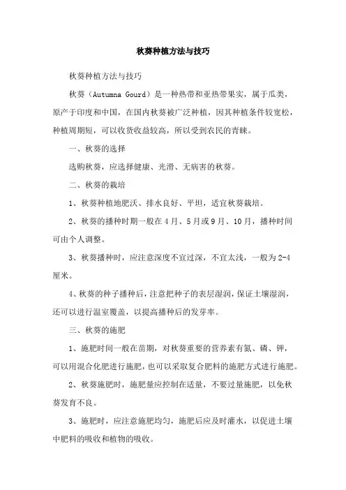 秋葵种植方法与技巧