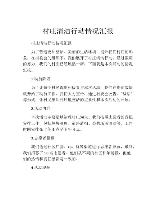 村庄清洁行动情况汇报
