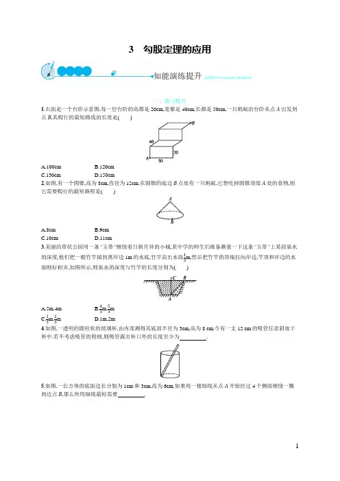 1.3 蚂蚁怎样走最近 习题及答案