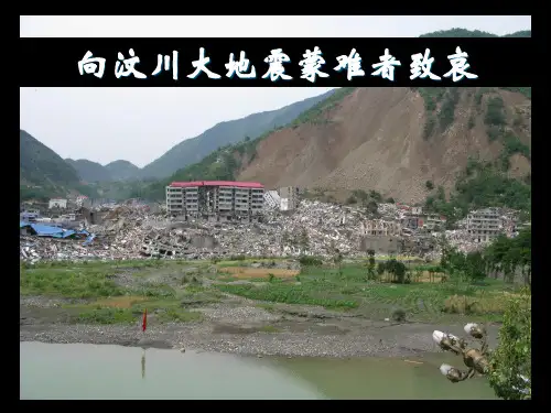 陈运泰：汶川地震的成因断层、破裂过程与成灾机理(2008-07-25)成都