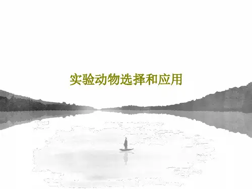 实验动物选择和应用PPT文档共47页