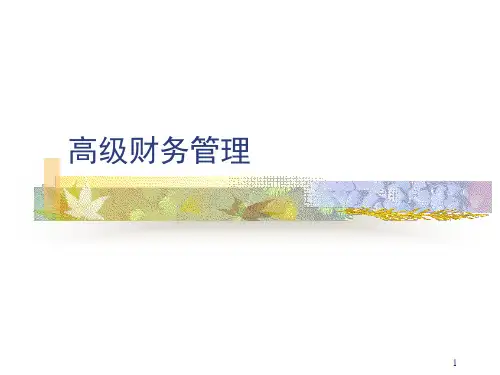 第一章 高级财务管理概述PPT课件