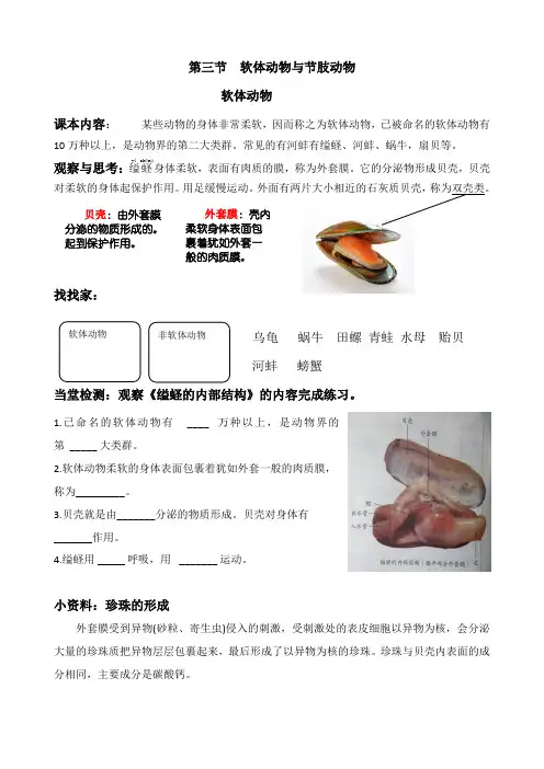《第三节 软体动物和节肢动物》导学案1-鲁科版生物八年级上册