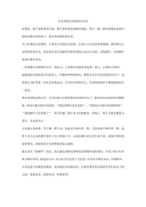社会实践活动捡树叶总结