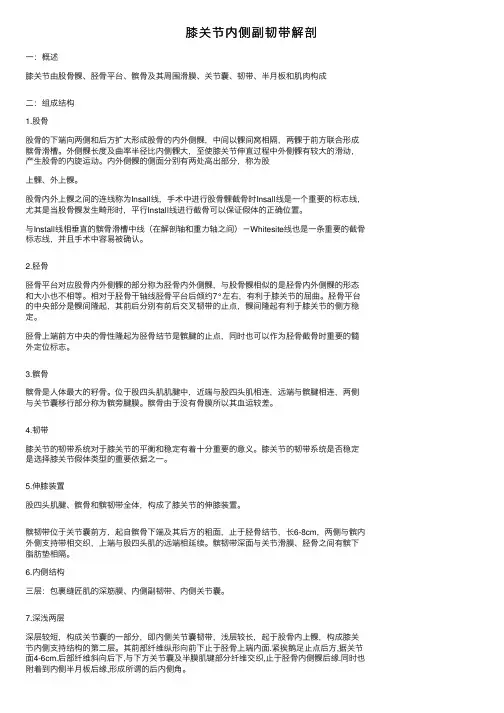 膝关节内侧副韧带解剖