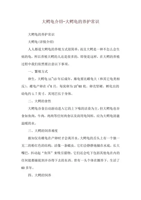 大鳄龟介绍-大鳄龟的养护常识