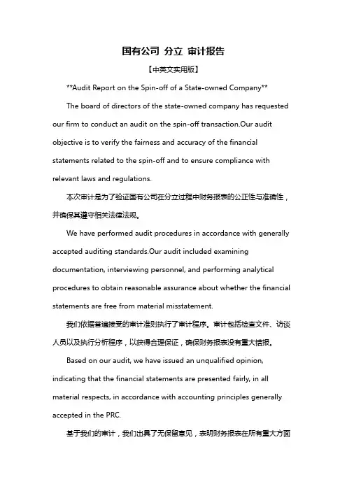国有公司 分立 审计报告