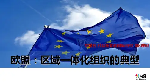 课件7：5.5 欧盟：区域一体化组织的典型