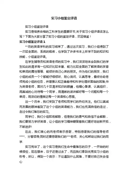 实习小组鉴定评语