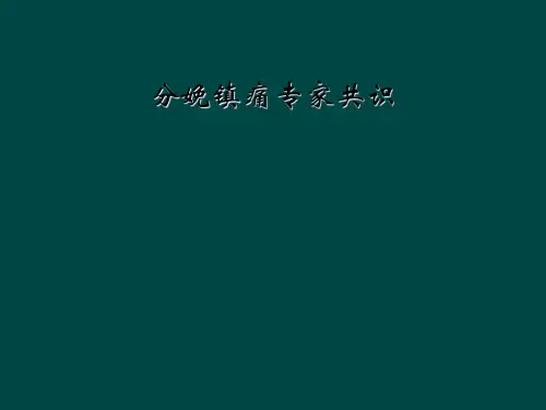 分娩镇痛专家共识