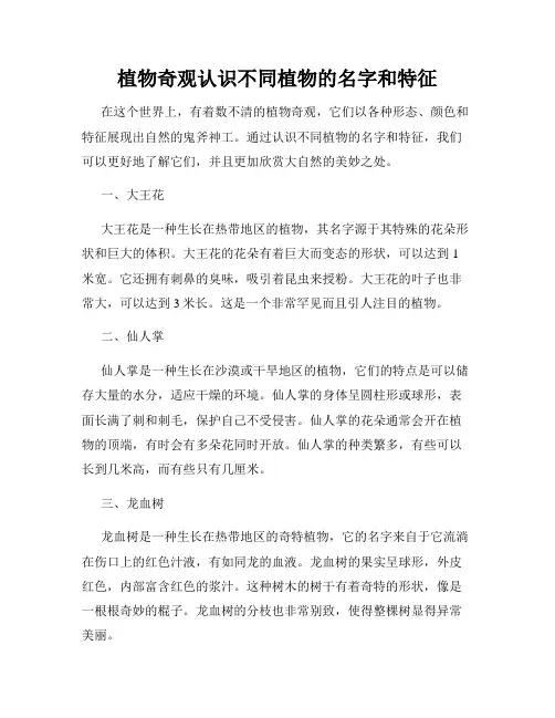 植物奇观认识不同植物的名字和特征