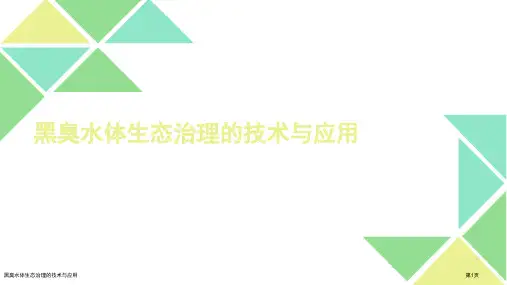 黑臭水体生态治理的技术与应用