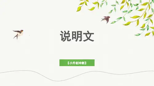 小升初语文冲刺——说明文课件(共38张PPT)