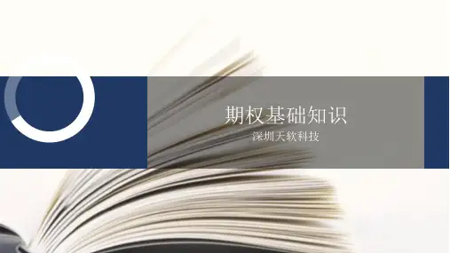 【精选】期权基础知识课件-精选