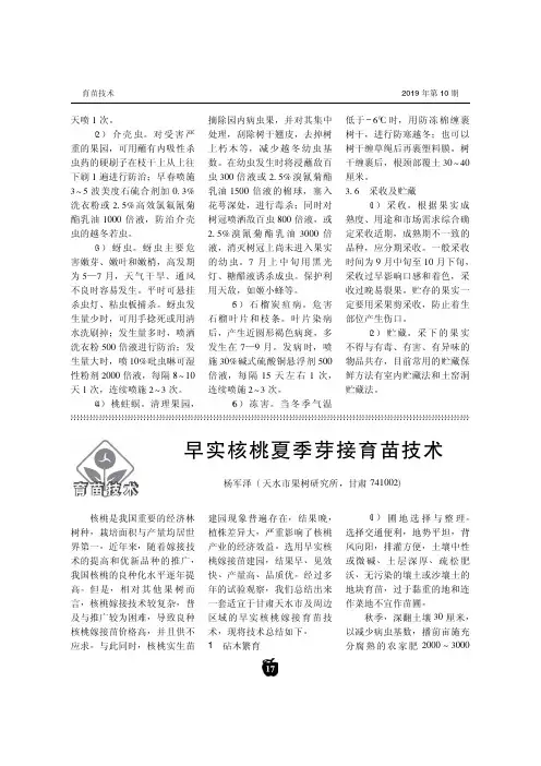 早实核桃夏季芽接育苗技术