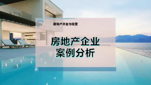 房地产企业案例分析