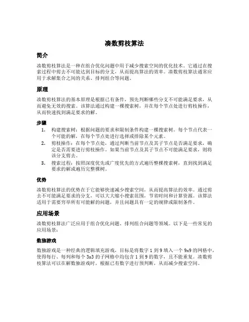 凑数剪枝算法