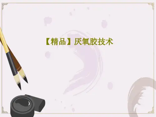 【精品】厌氧胶技术共98页