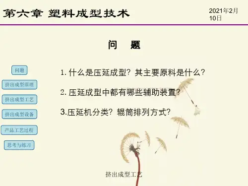 挤出成型工艺