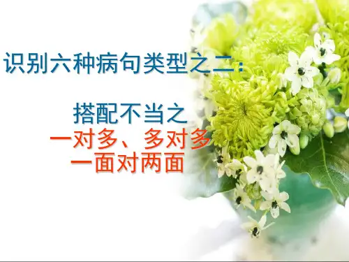 搭配不当之一对多、多对多  一面对两面