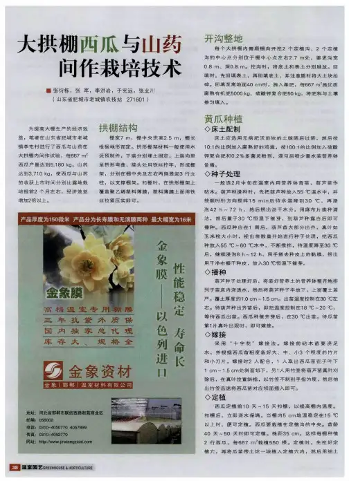 大拱棚西瓜与山药间作栽培技术