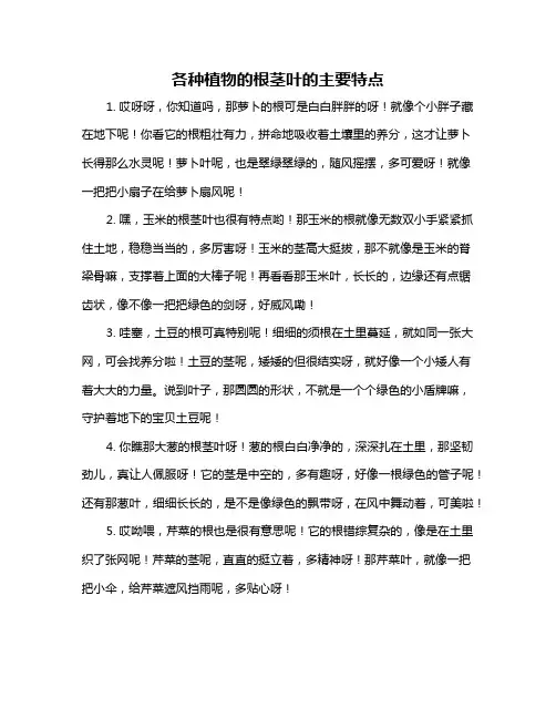 各种植物的根茎叶的主要特点