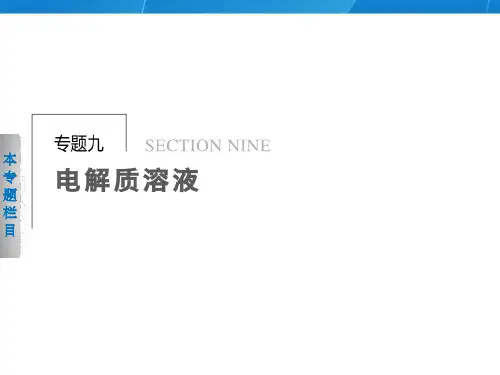 《专题九电解质溶液》PPT课件