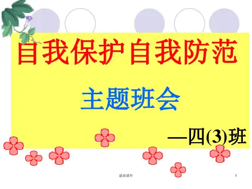 安全教育班会《自我保护》主题班会ppt课件