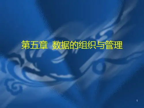 《管理信息系统》第五章-数据的组织与管理PPT课件