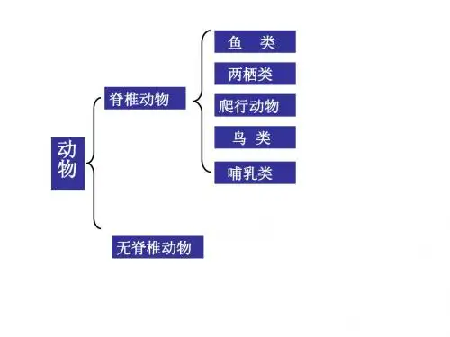 2.1动物的主要类群(无脊椎动物)(1)