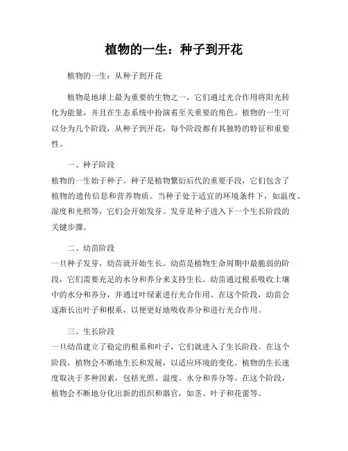 植物的一生：种子到开花