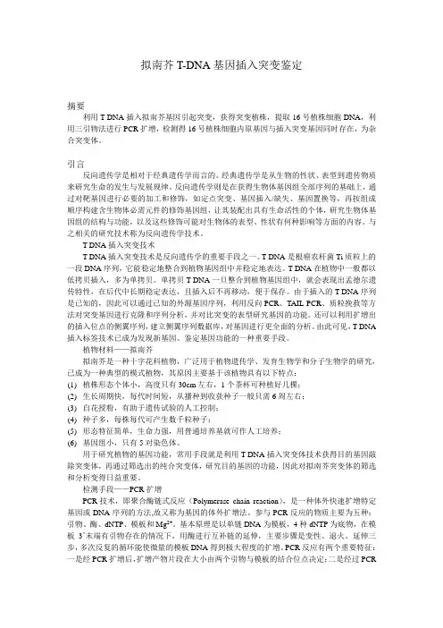 8.2 拟南芥T-DNA基因插入突变鉴定