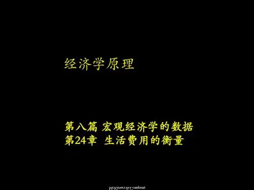 第24章生活费用的衡量-PPT精选文档