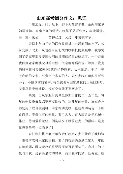 山东高考满分作文：见证