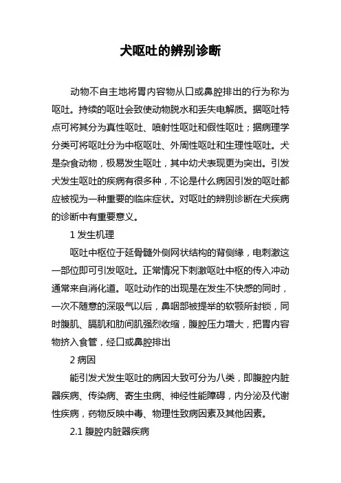 犬呕吐的辨别诊断