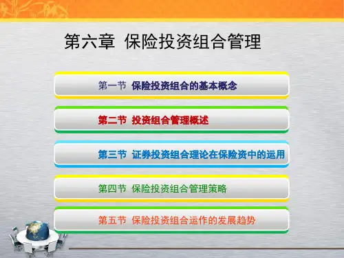 保险投资学第六章